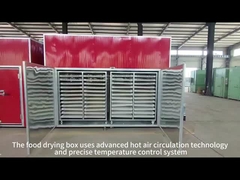 전문 제조를 위한 맞춤형 전압 해산물 전기 난방 건조 상자