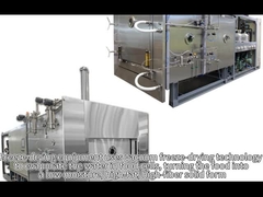 진공 냉동 건조 장비 냉동 건조 기계에 대해 얼마나 사용자 정의 할 수 있습니까